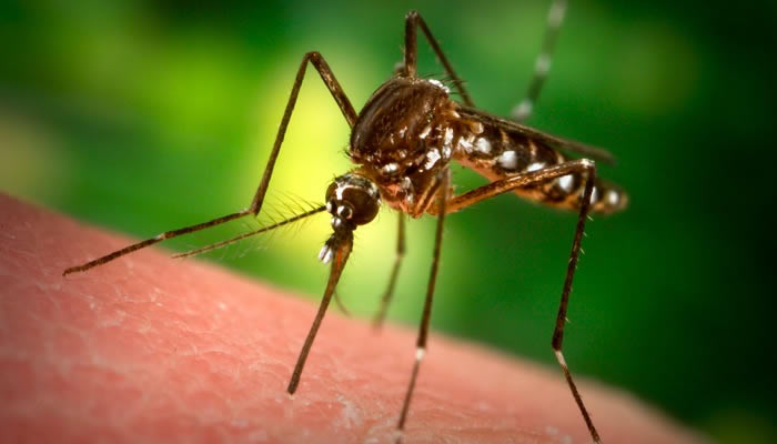 Obavijest o tretiranju komaraca